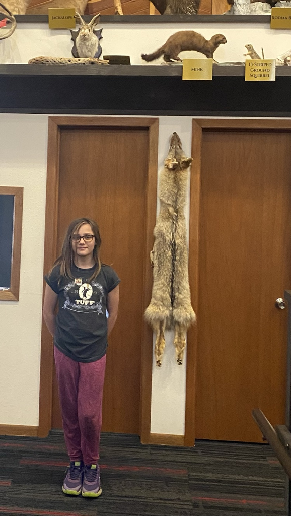 animal