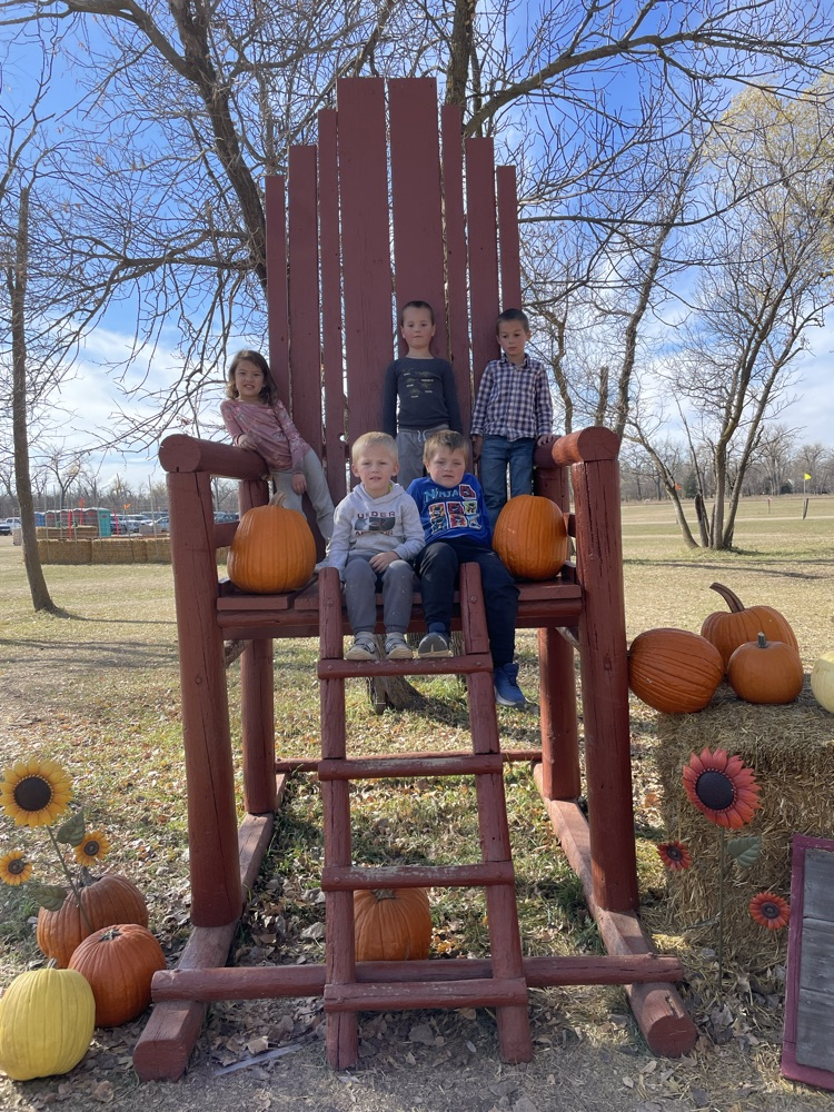 pumpkins