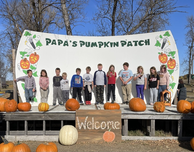 pumpkin
