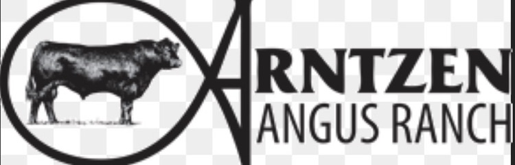 Arntzen angus