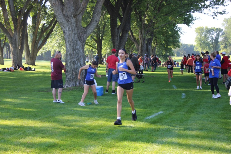 xc