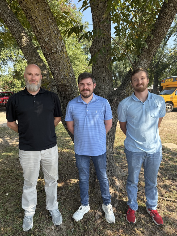 IT staff