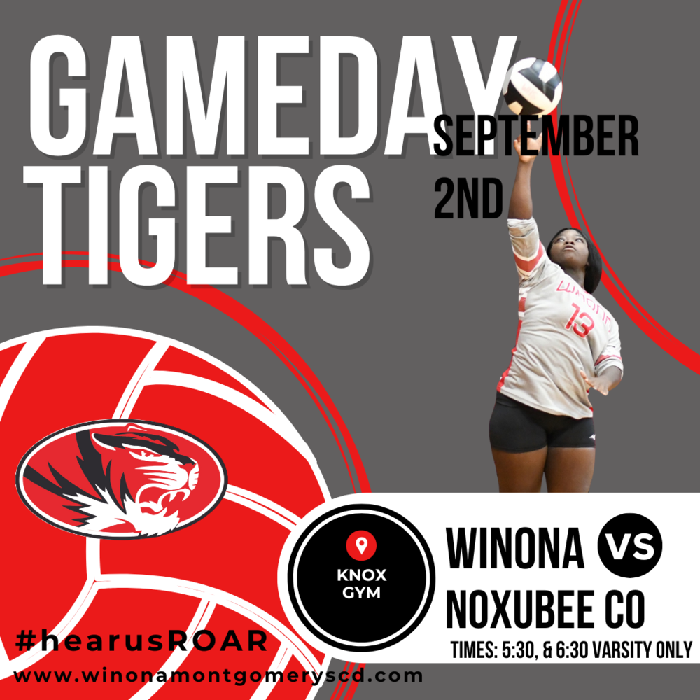 Volleyball Gameday