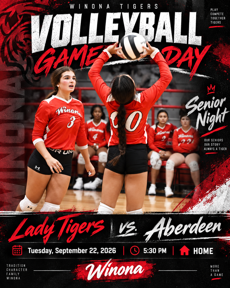 Volleyball Gameday