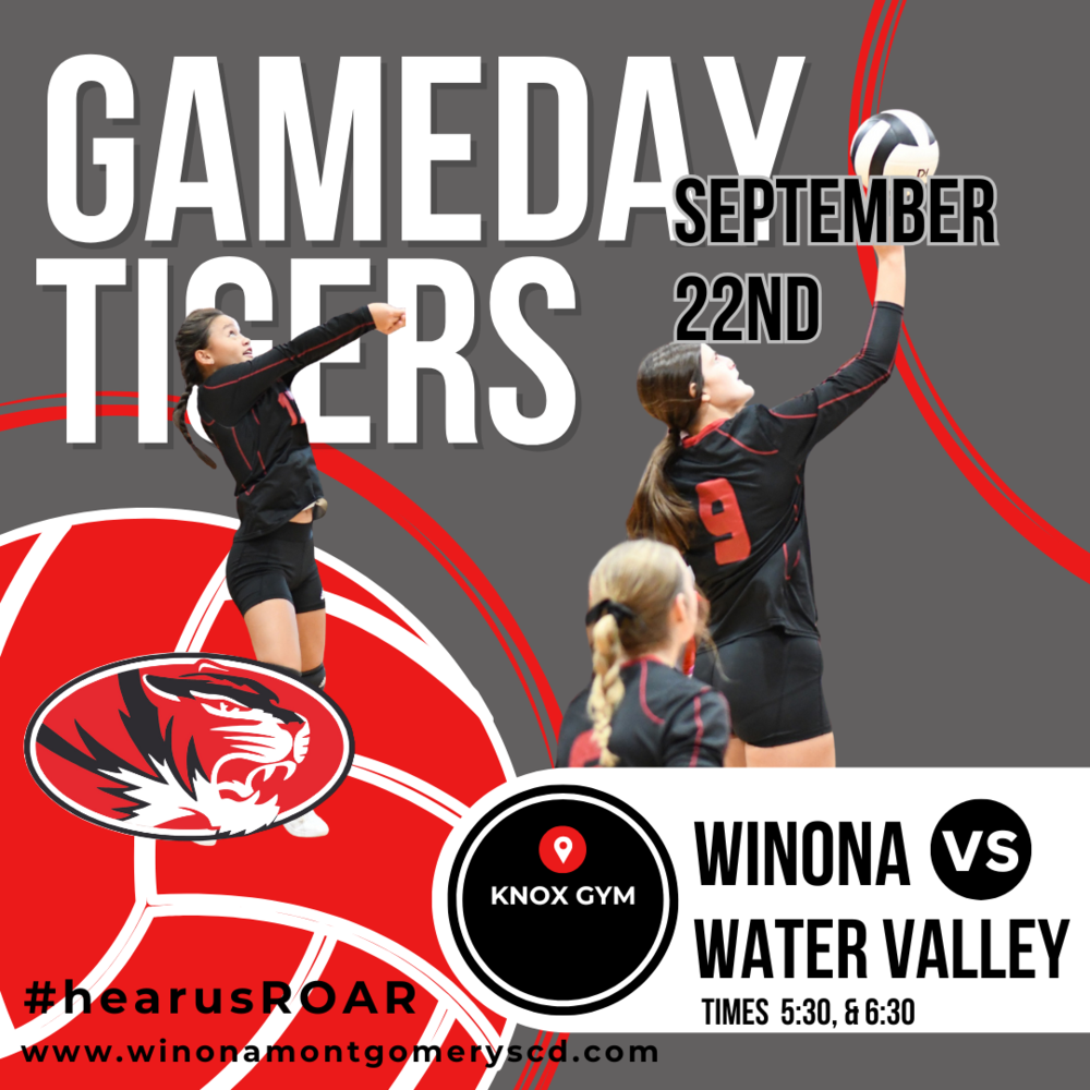 Volleyball Game Day