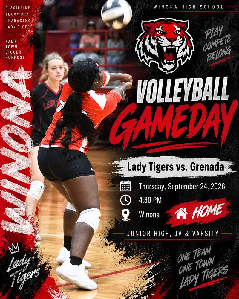 Volleyball Gameday