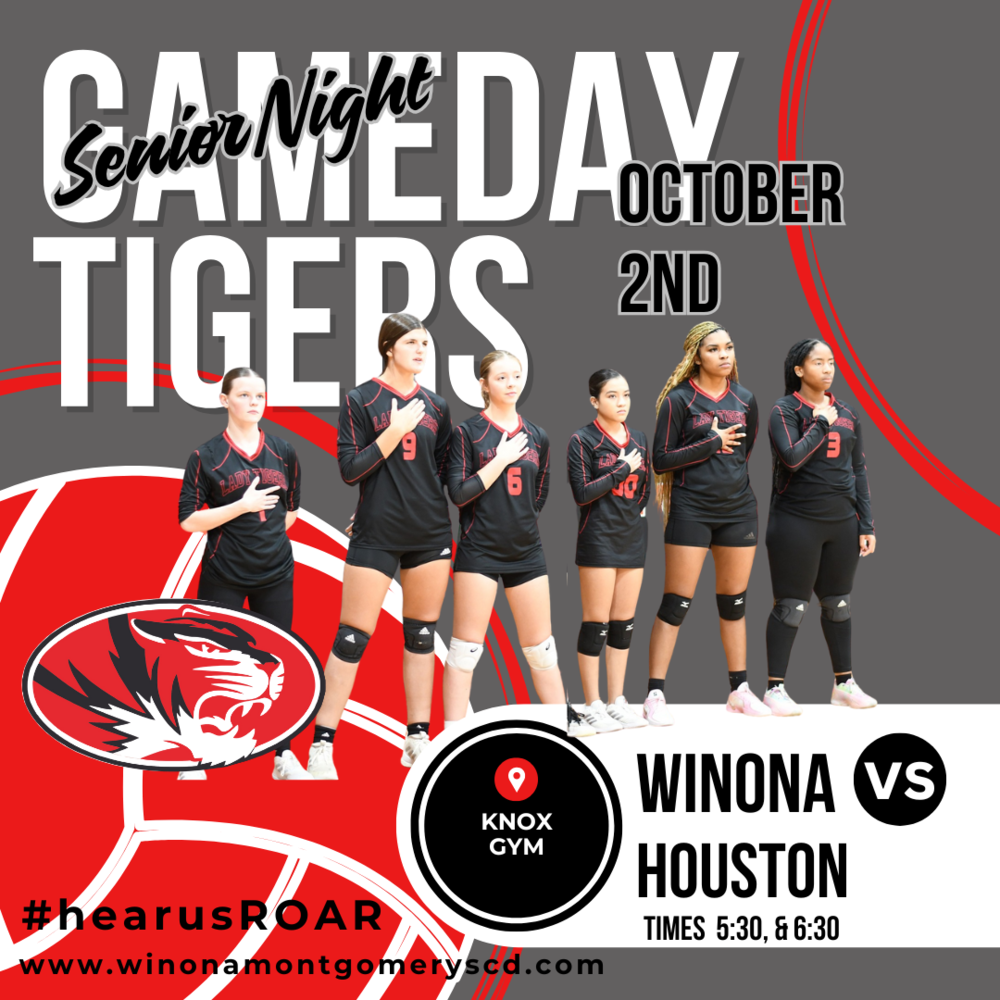 Volleyball Gameday