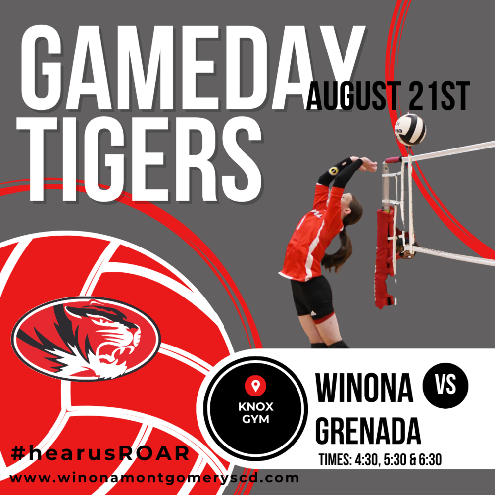Volleyball Gameday