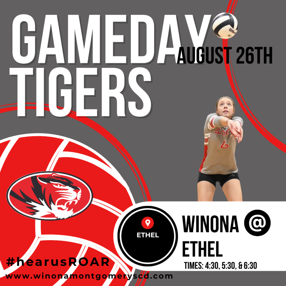 Volleyball Gameday