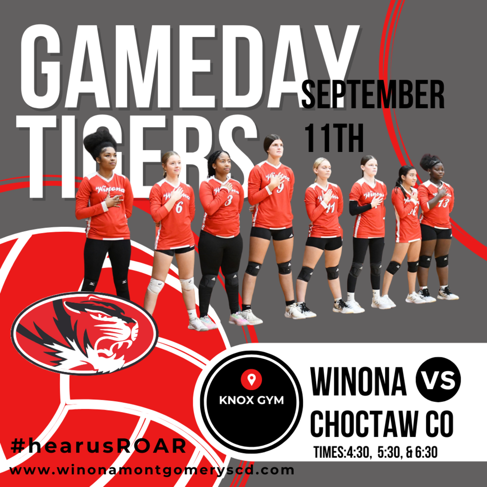 Volleyball Gameday