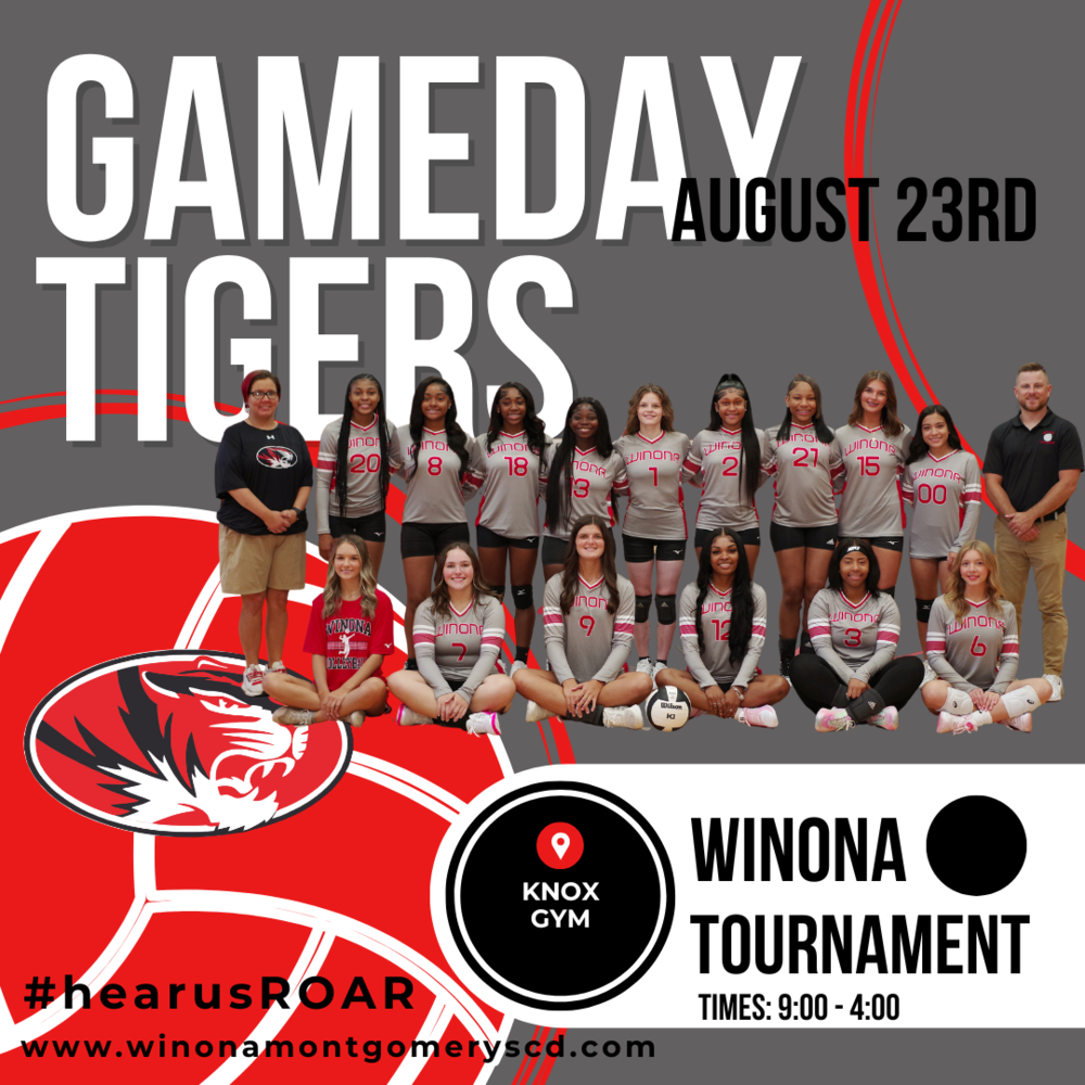 Volleyball Gameday