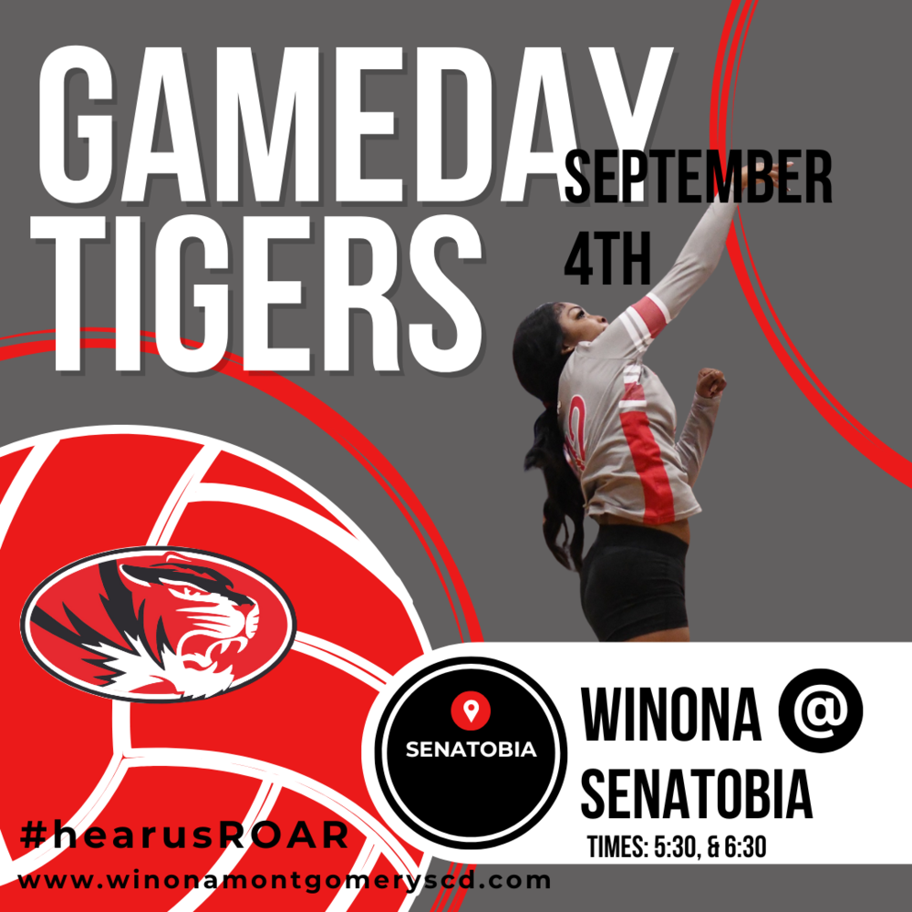 Volleyball Gameday