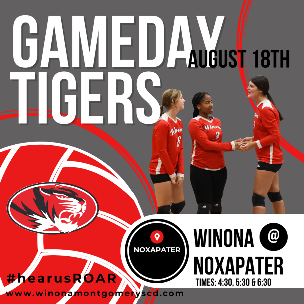 Volleyball Gameday