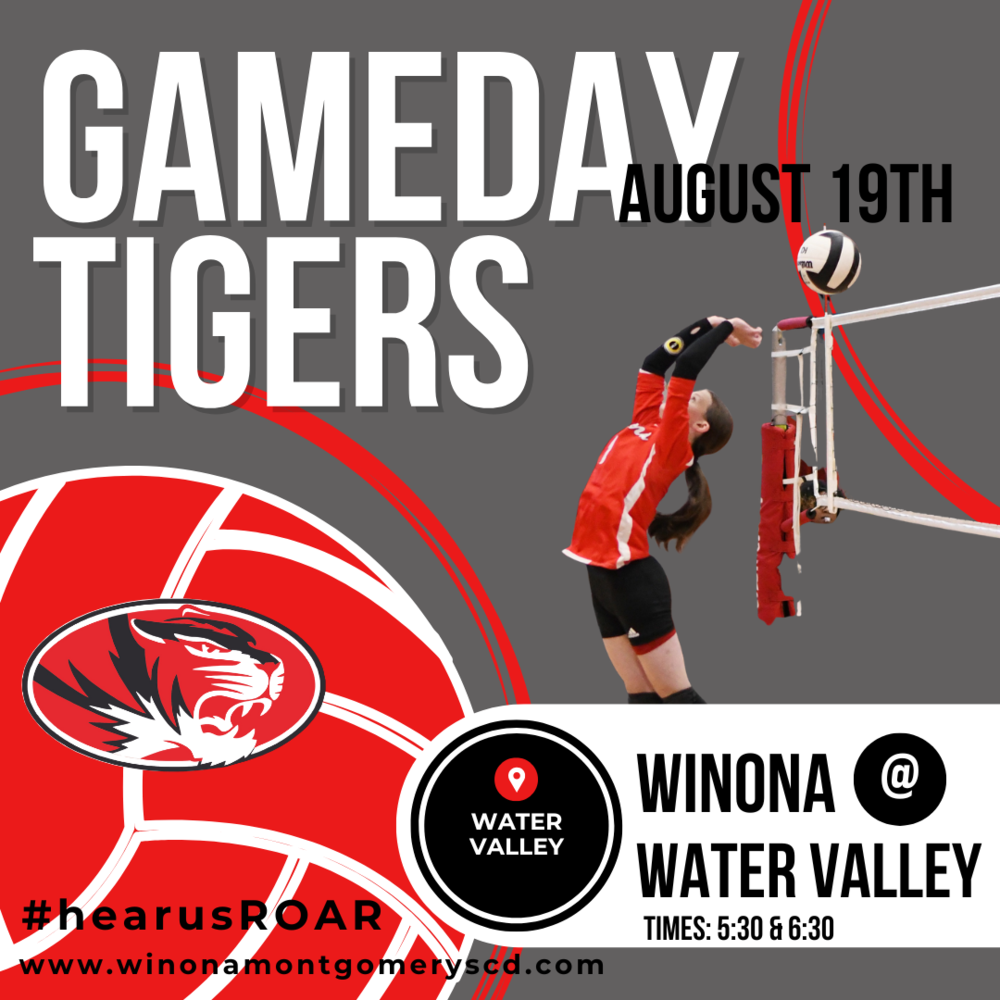 Volleyball Gameday
