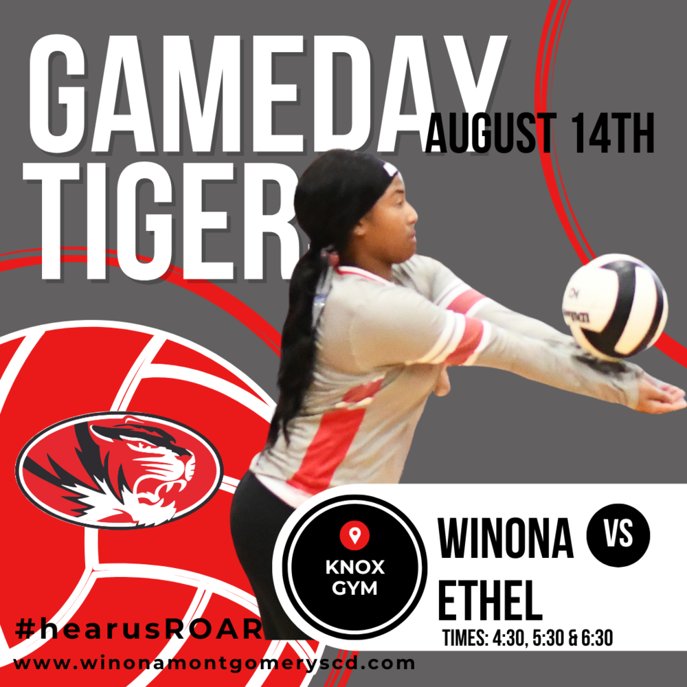 Volleyball Gameday