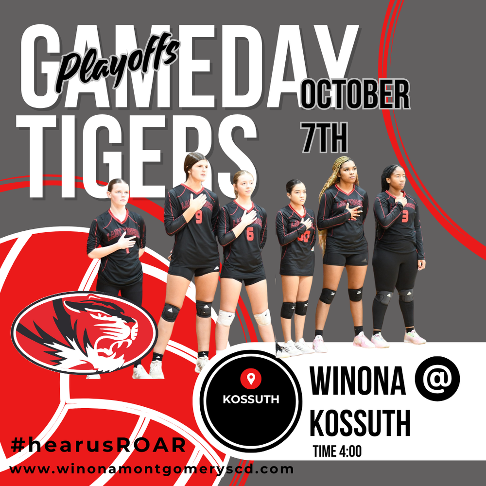 Volleyball Gameday
