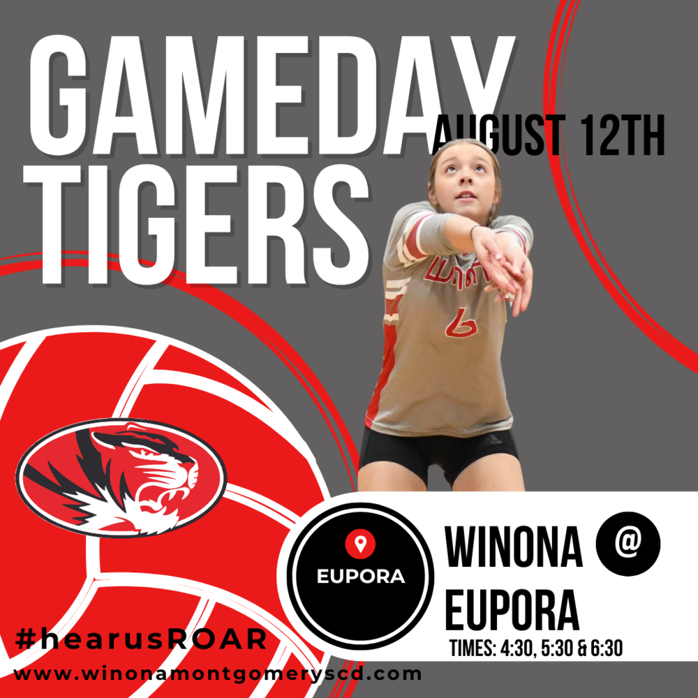 Volleyball Gameday