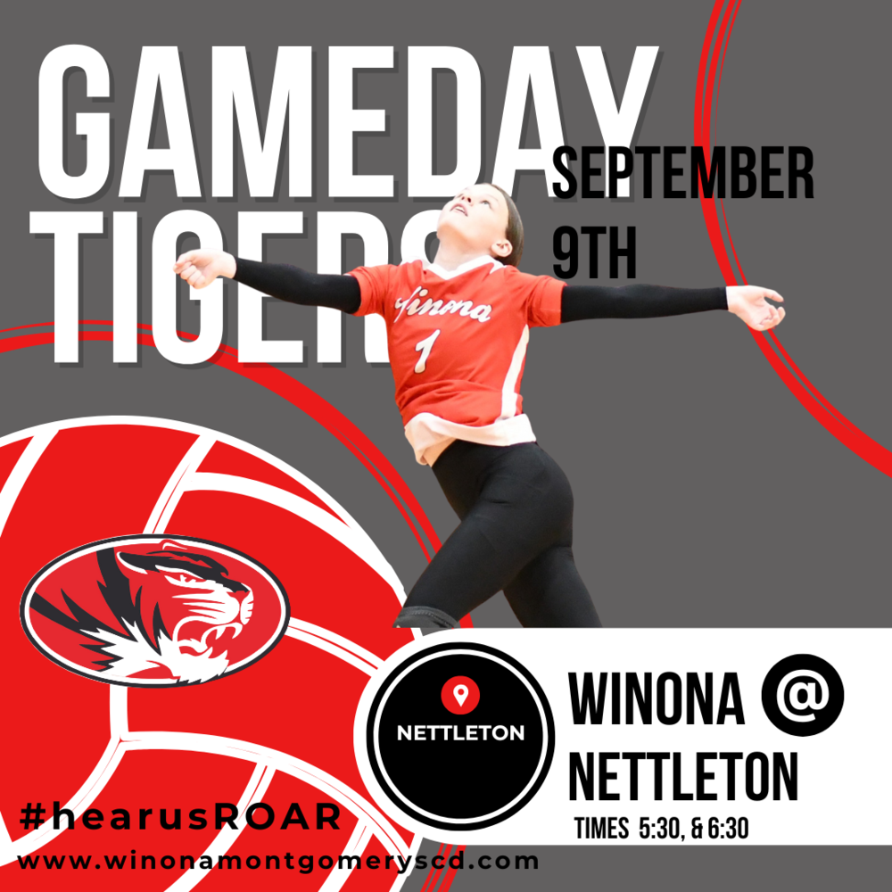 Volleyball Gameday