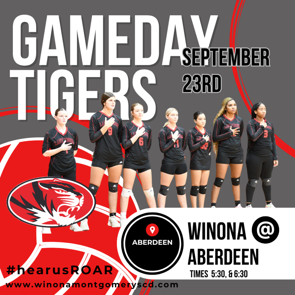 Volleyball Game Day