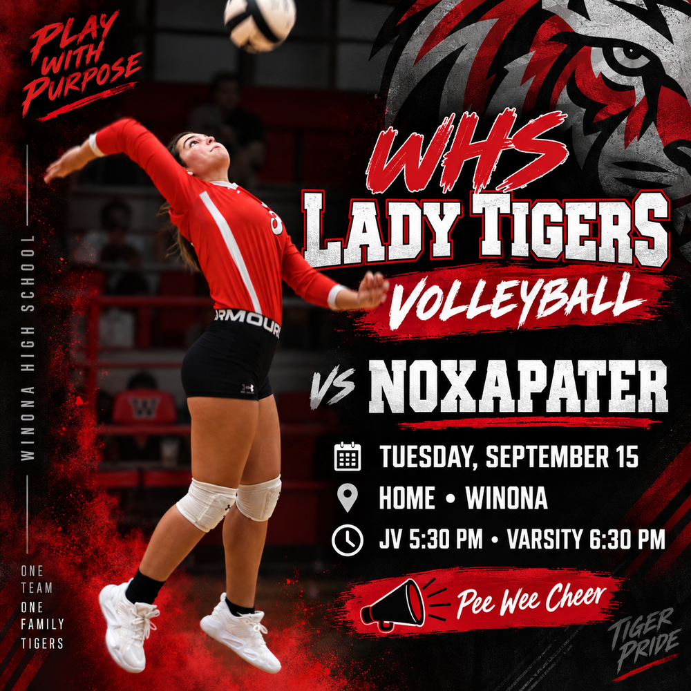 Volleyball Gameday