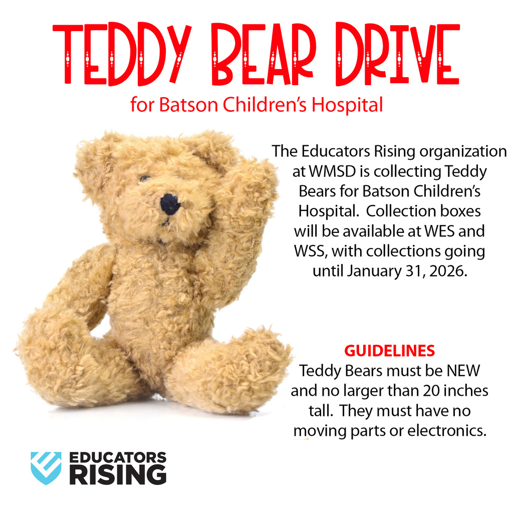 Teddy Bear drive