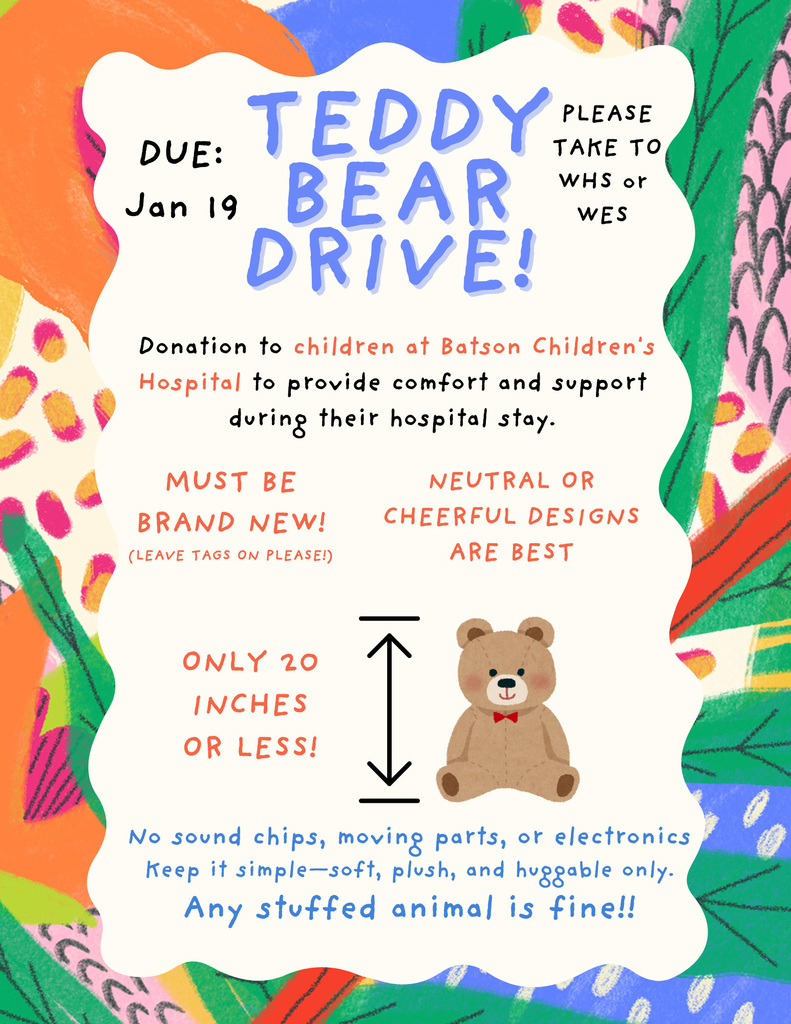 Teddy Bear drive