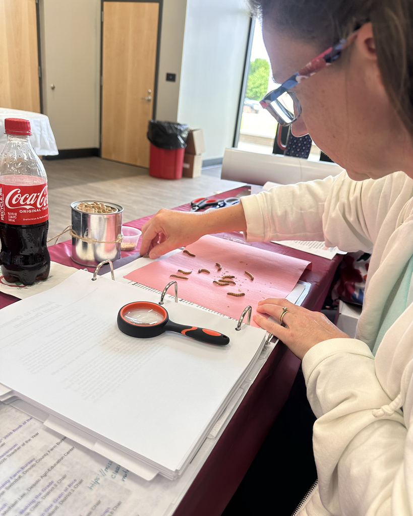 A person uses a magnifying glass to examine small objects on a pink page in a binder.