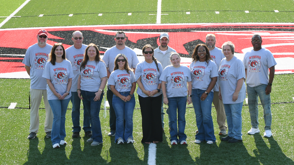 A group of 11 people wearing similar shirts stand in a line on a football field.