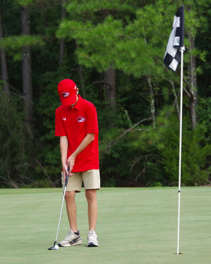 Person in red shirt and cap prepares to putt on a golf course with trees in the background.
