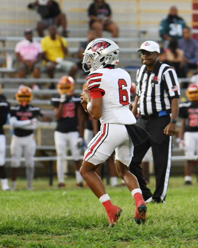 Player number 6 runs with the ball on a football field. A referee follows. Spectators sit on bleachers.