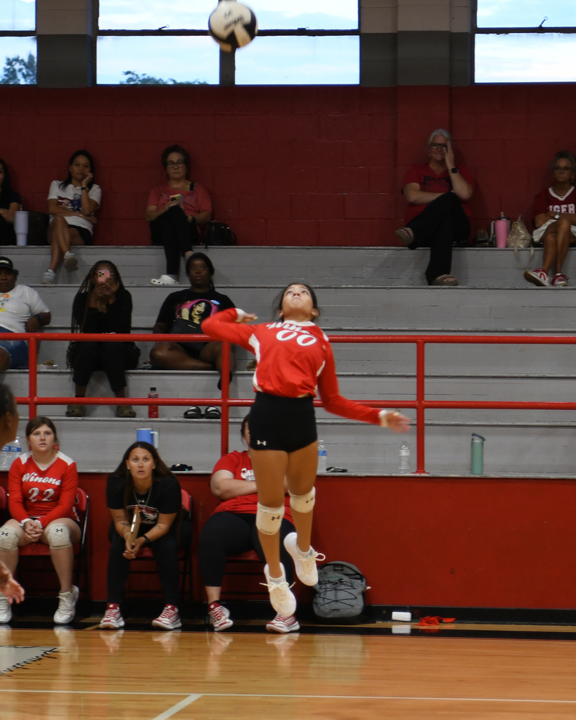 Volleyball player jumping and reaching to hit ball, stadium with spectators on red bleachers.