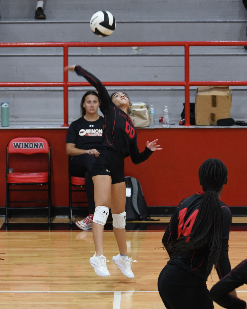 A volleyball player in a black uniform jumping to hit the ball, another player in black blocking.