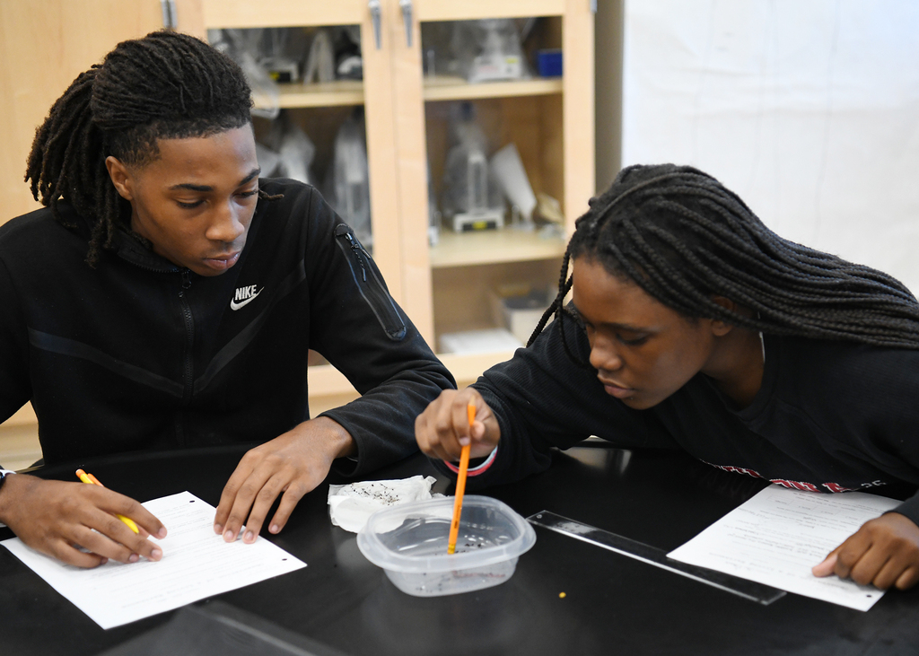 Two people are at a desk in a classroom. One uses a pencil to mix a substance in a cup.