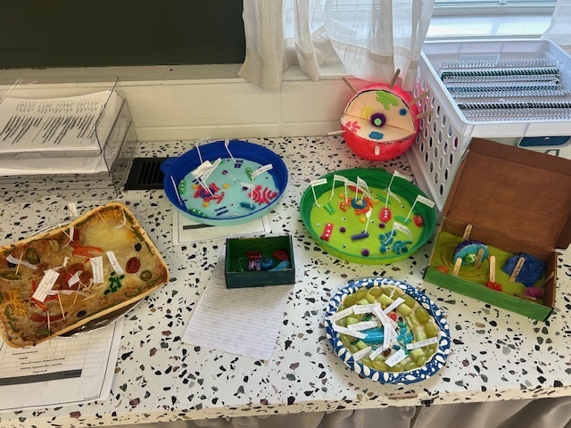 Cell Model