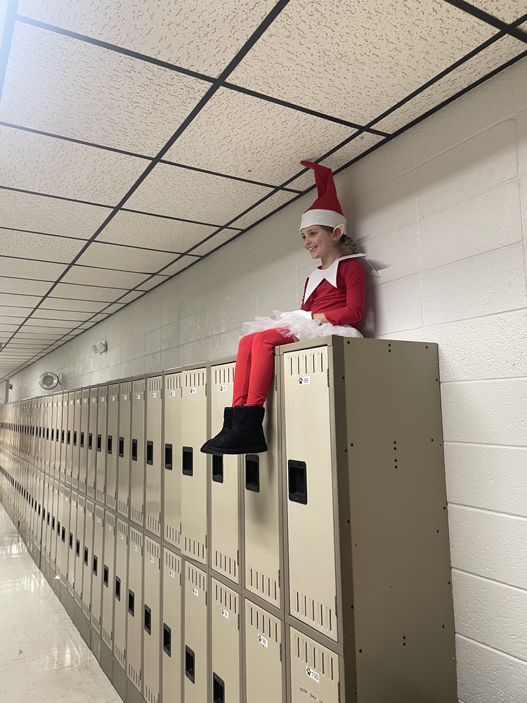 Elf on the Shelf