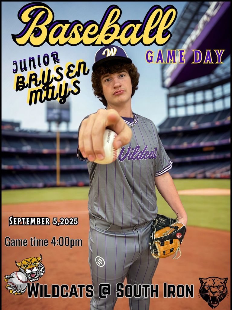 Black and Yellow Baseball Poster