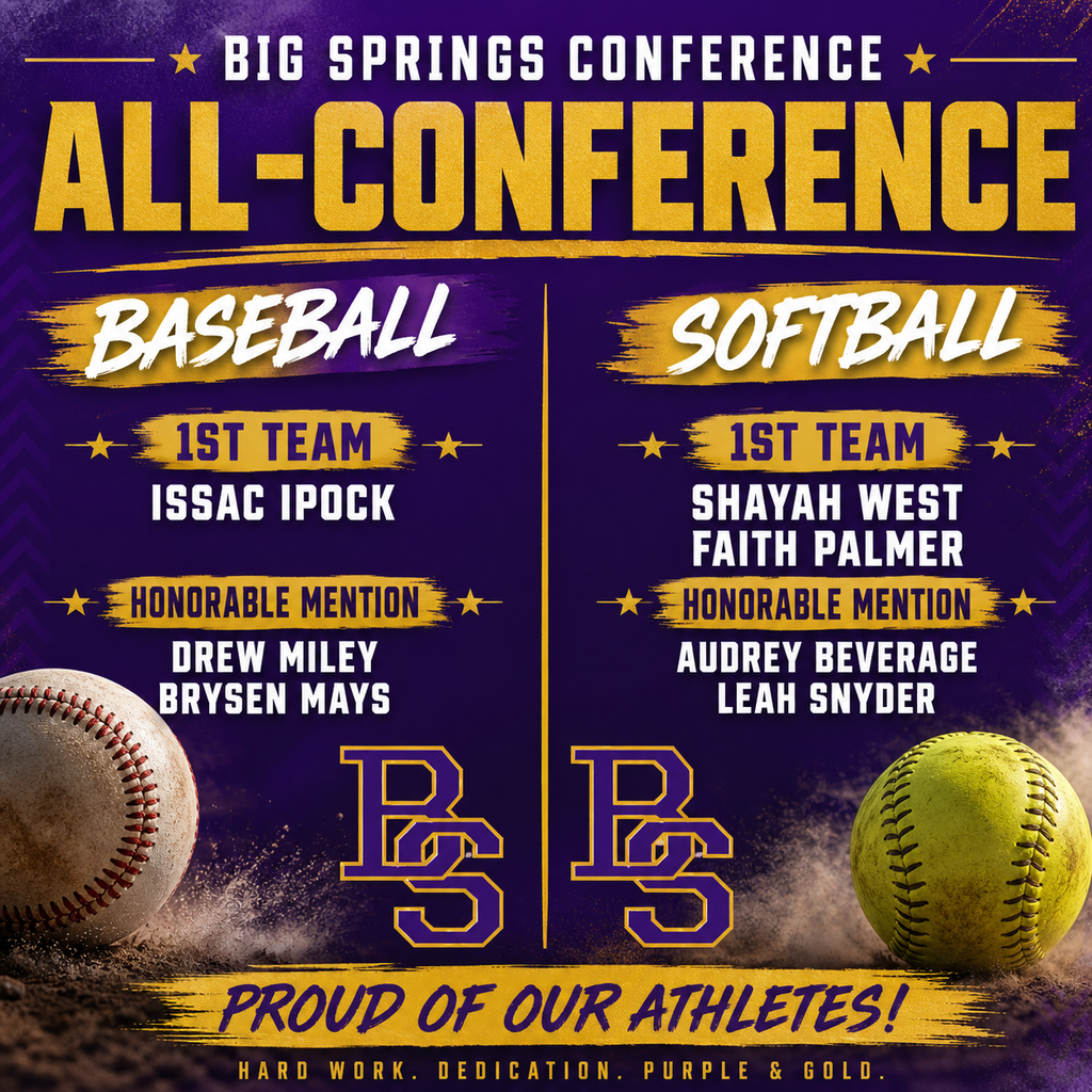 baseball /softball