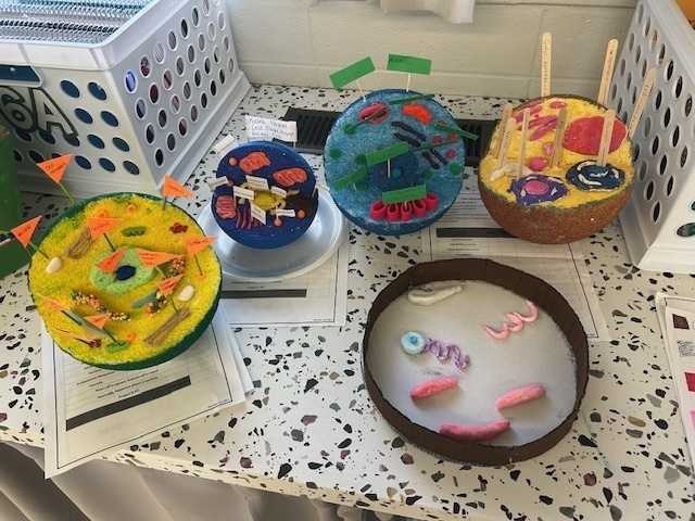 Cell Model