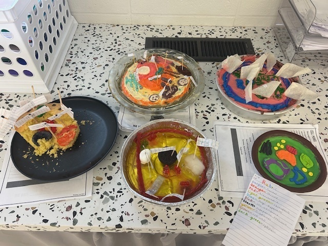 Cell Models