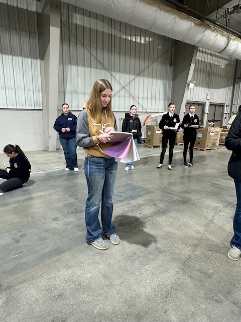 FFA students judging livestock at the recent Livestock Judging Contest in Norfolk