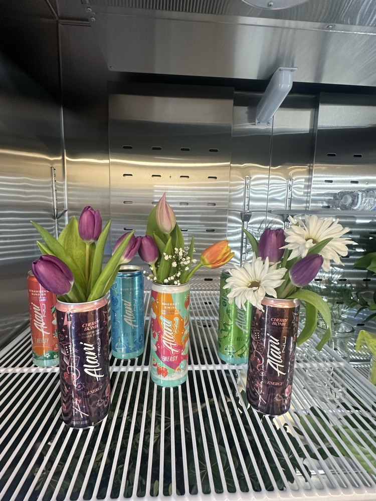 10 different tulip arrangements with various colors of tulips and daisies in soda cans with 6 arrangements featured