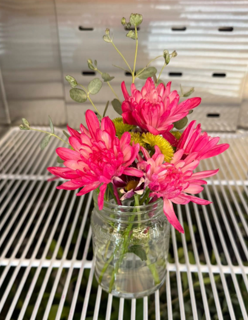 Pink painted flowers with button mums- $10