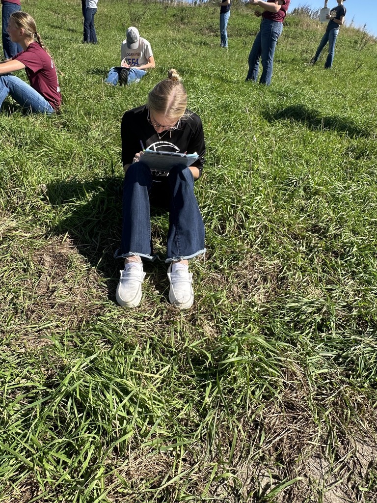 Student sitting in a field studying Land Judging papers