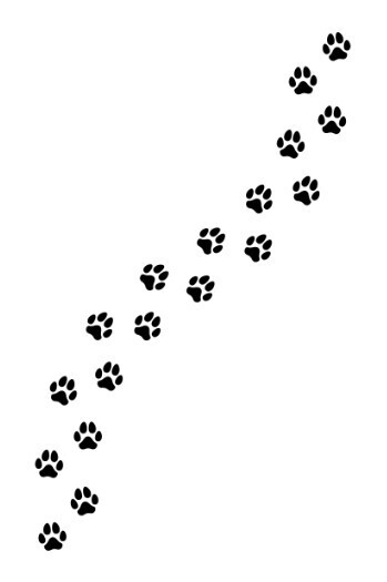 pawprints