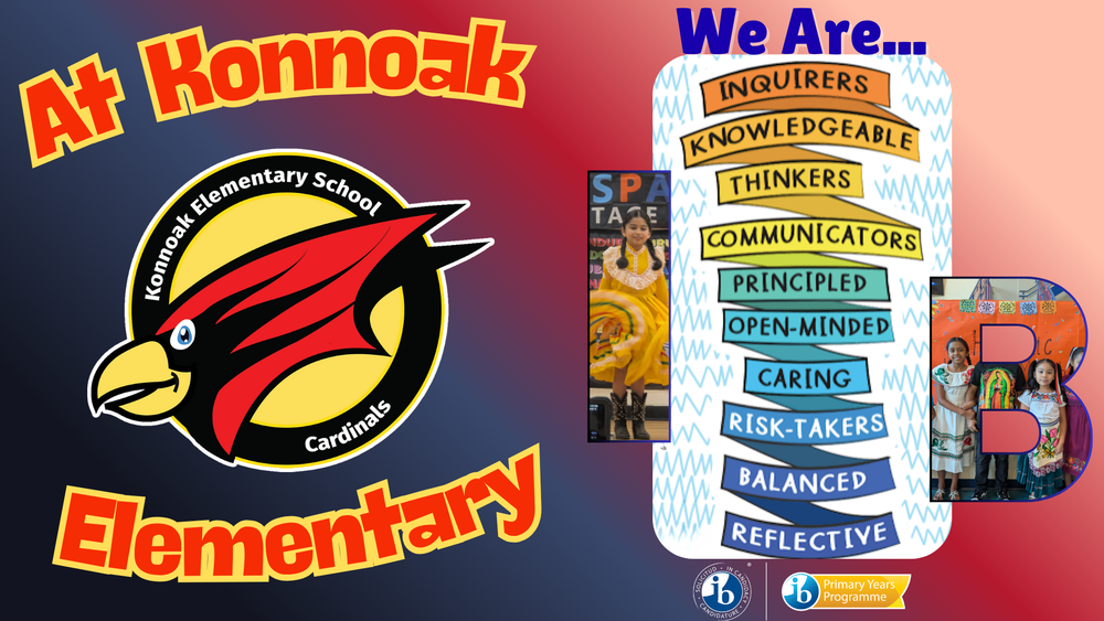 We Are IB