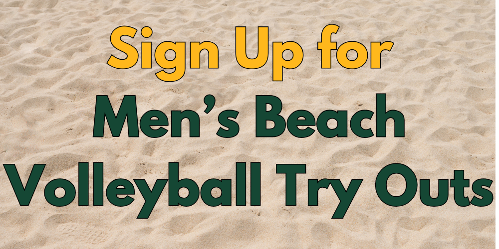 Men's Beach Volleyball