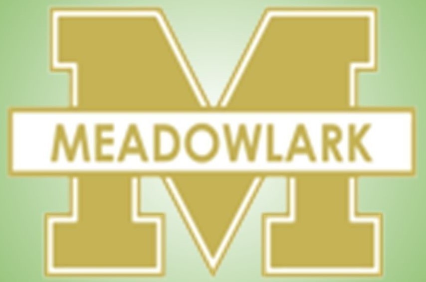 MMS Logo
