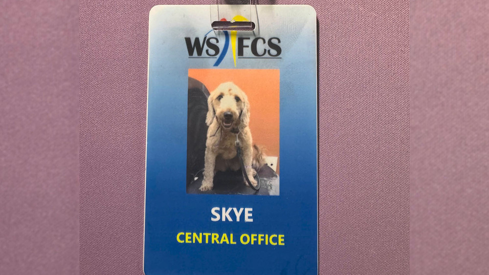 image of central office employee  Skye