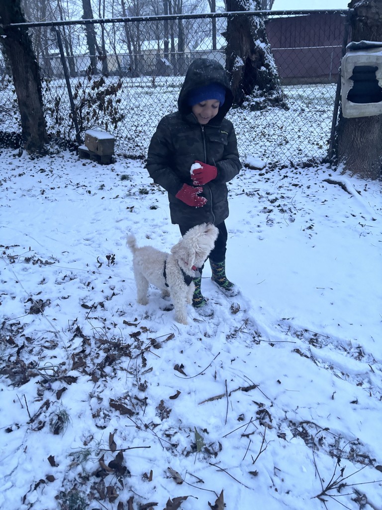 snow ball