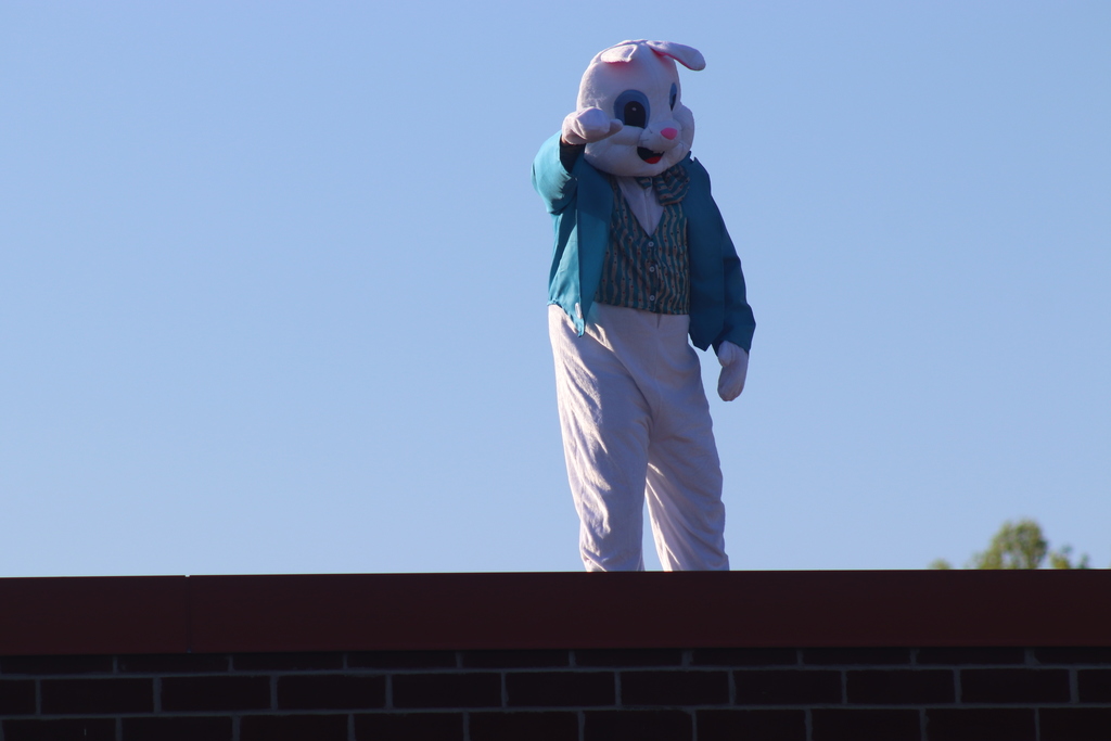 Easter Bunny